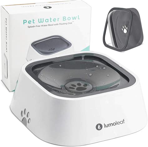 best no spill dog water bowl